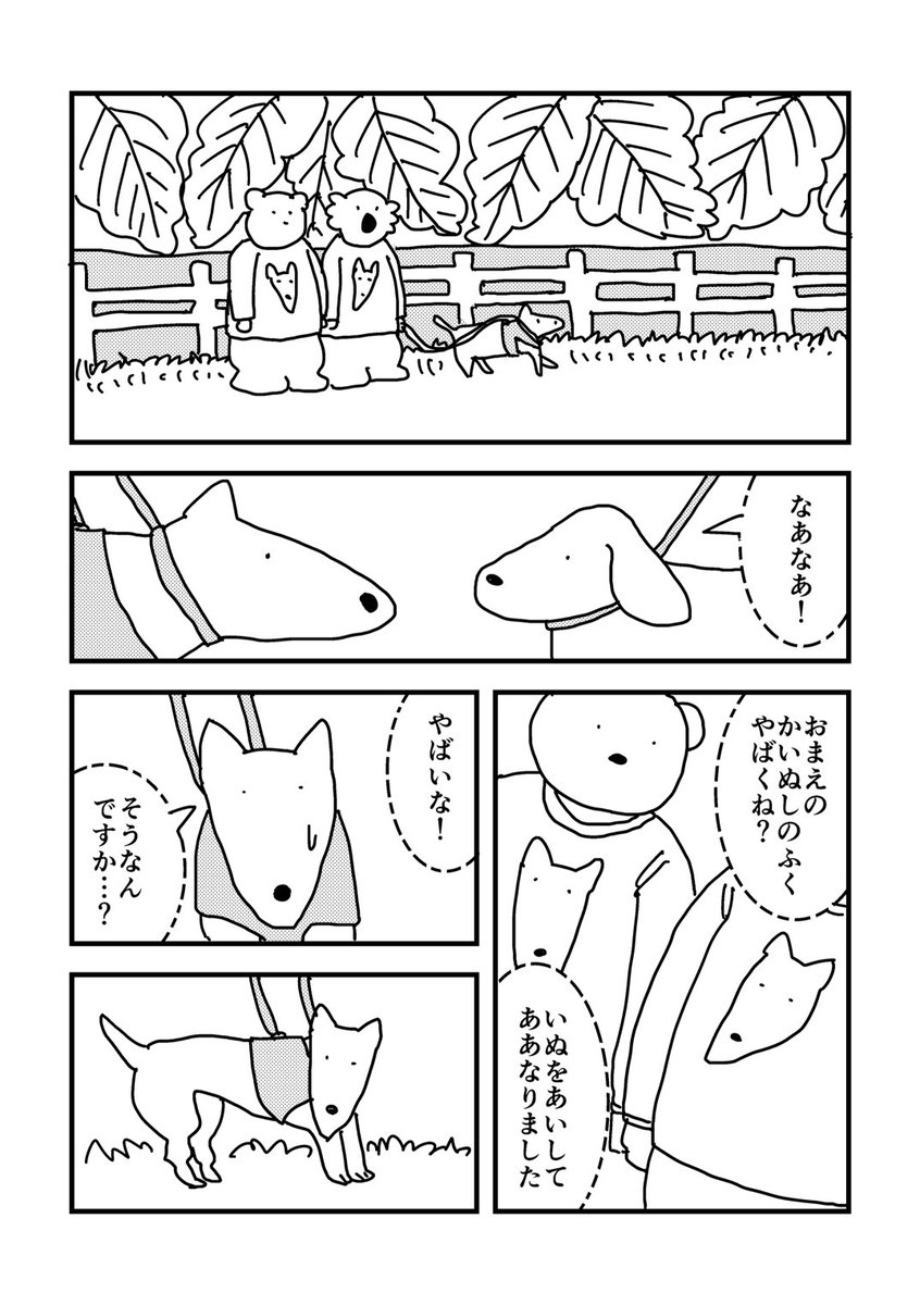 こあらくま 
