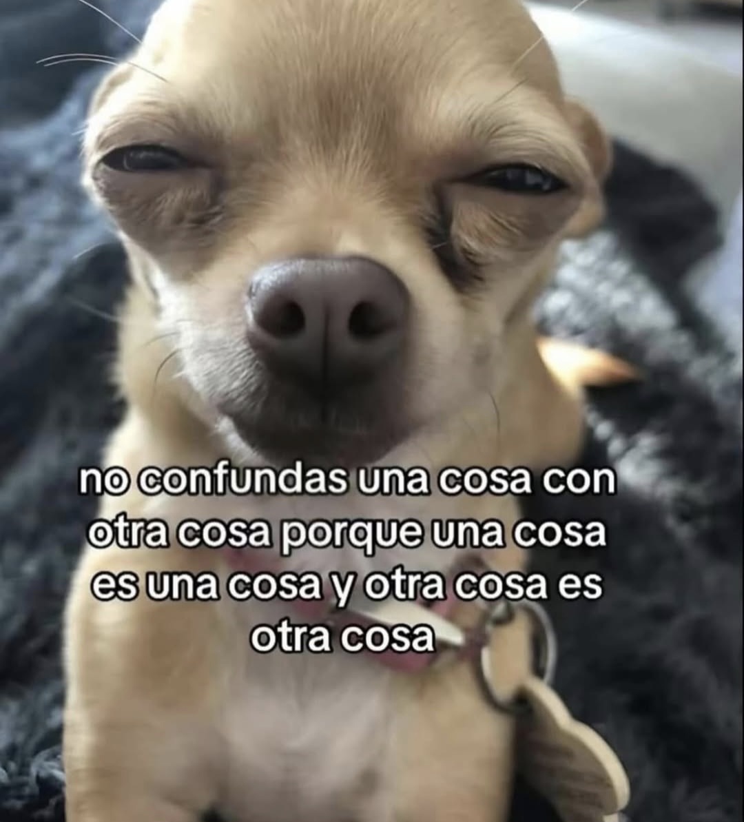 En Júpiter (@en_jupiter_) on Twitter photo 