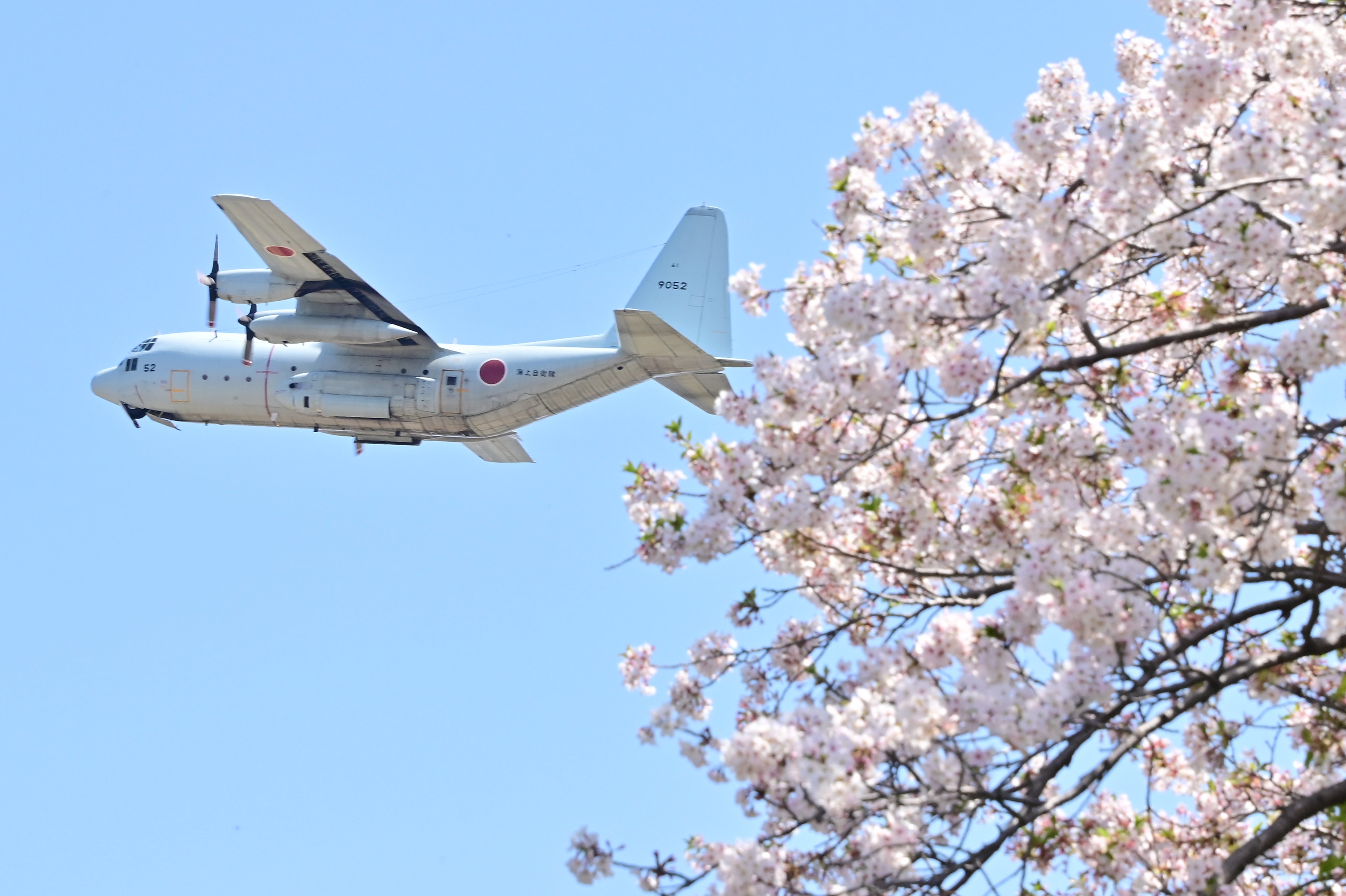 海上自衛隊 航空集団 第4航空群 護守印6枚&生写真&P-1カード 海上自衛隊 航空集団 第4航空群 御守印6枚&生写真