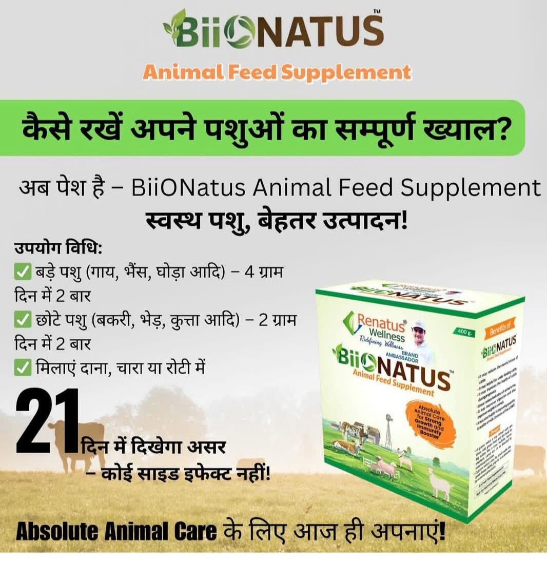 NavtejNsi's tweet photo. Renatus का पशु आहार जो न सिर्फ पशुओं को बेहतर स्वास्थ प्रदान करता है बल्कि उत्पादन क्षमता को भी बढ़ाता हैl
#renatuswellness #animallover #animals #agriculture #DrSubrataDutta #navtejsinghjagraon  #foodsupplements #animalcare  #AnimalSupplements 
@highlight
 📞☎️📱079865 28262 https://t.co/CQmvhGy6o9