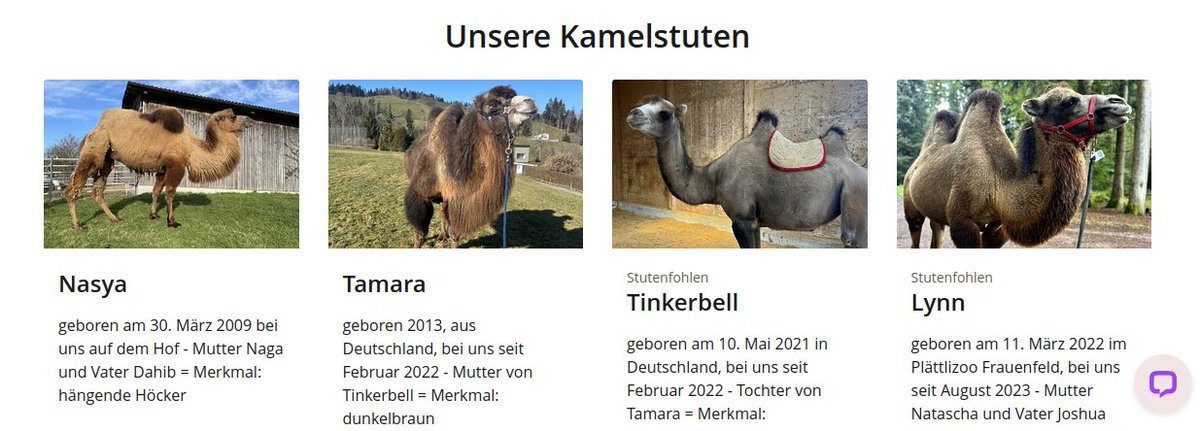 Kameltrip's tweet photo. @ScepticCheetah @alpacatrip @Stolzkatze https://t.co/TqL4bhO4Tp