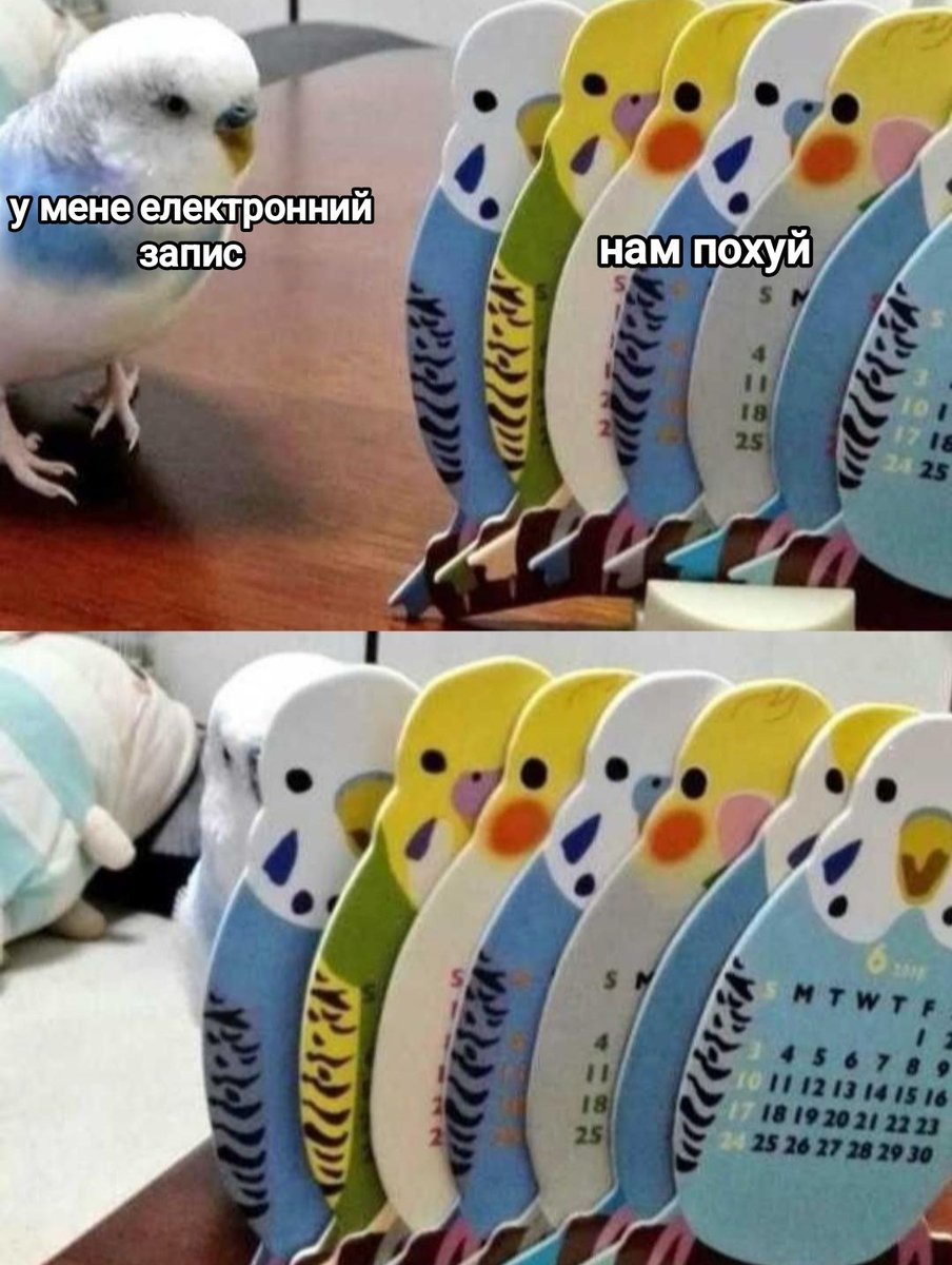 SumyBydlo's tweet image. 