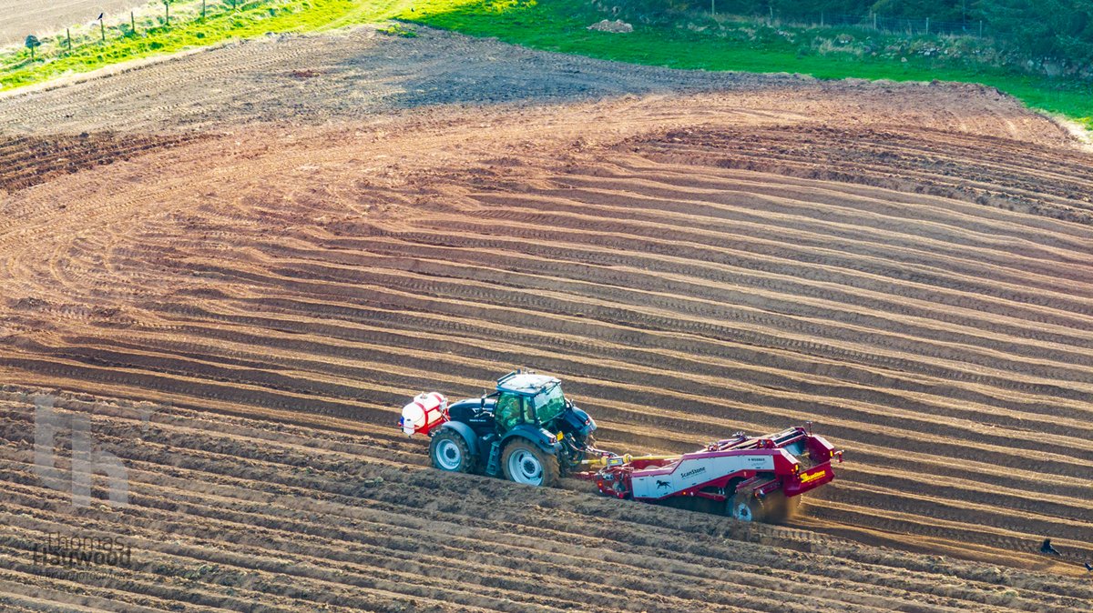 thaywoodphoto's tweet image. De-stoning before potato planting 🚜
Why? Fewer stone bruises, smoother planting, better harvest.
This steep Highland field? The tractor can only work uphill!
📸 Shot by drone to show scale &amp;amp; skill.
Need aerial farming content? DM me.
#AgricultureFromAbove #DroneFarming
