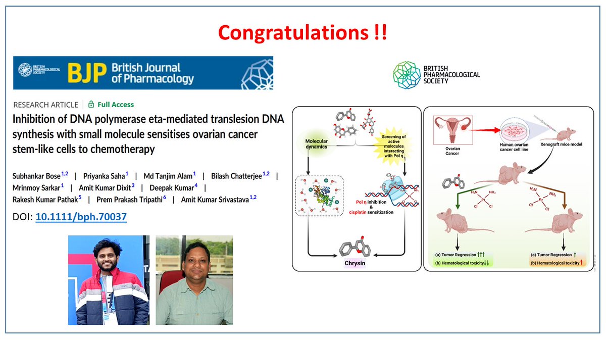 Congratulations to Dr. Amit Kumar Srivastava, Senior Scientist, CSIR-IICB and his team for their new publication, in British Journal of Pharmacology. (DOI: doi.org/10.1111/bph.70…)