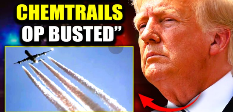 Dee Deeper🪽👑💎🇧🇪🇦🇹💙💙👑 tweet media