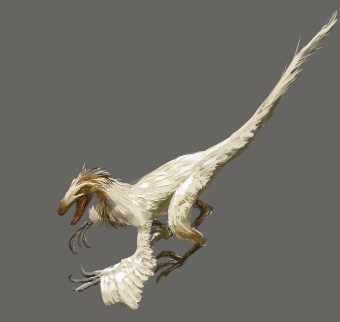 #恐竜の日 らしいので前に描いた科博のバンビラプトルを。あまり復元模型を置かない科博で貴重な常設展示品。剥製っぽくてその辺りにまだ生きてそうなのがとてもいい感じの作りです。 