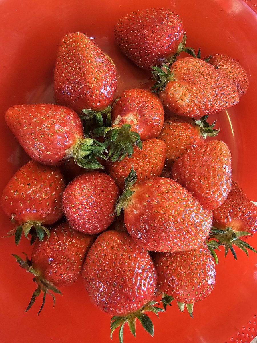 이종호 (@korean_kr) on Twitter photo 