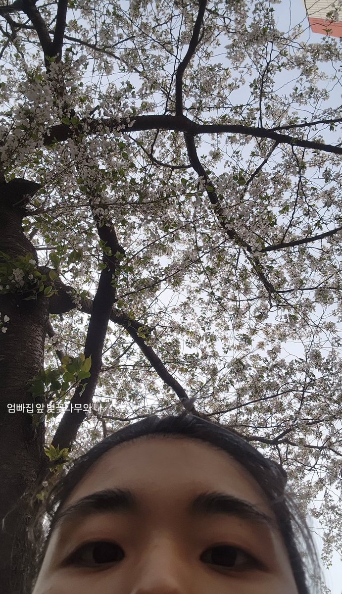 🤦‍♂️진짜 커엽다