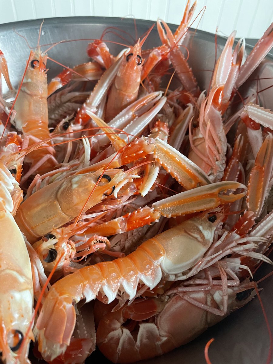 Only the finest shellfish for ⁦<a href="/covinochester/">Covino</a>⁩ menu from ⁦<a href="/KelticSeafare/">Keltic Seafare</a>⁩