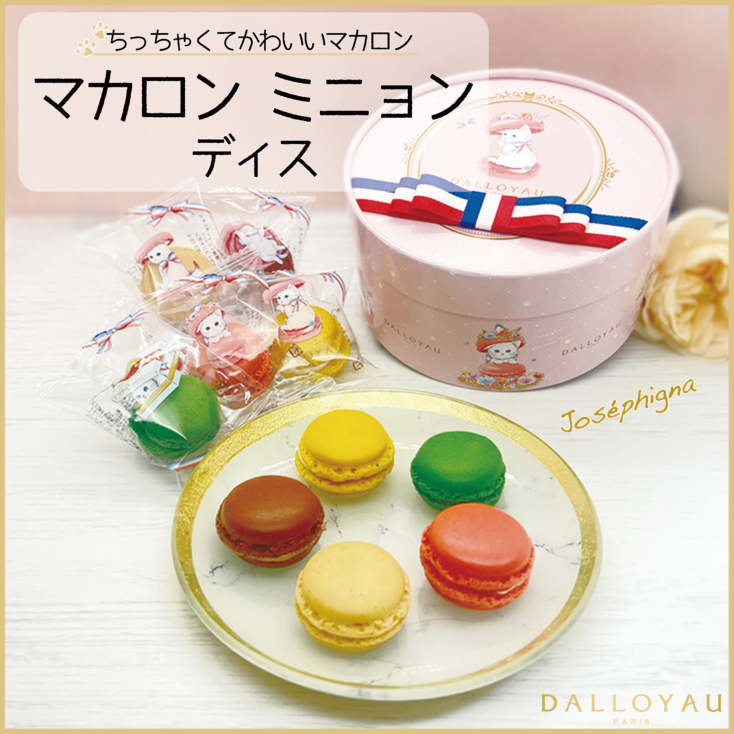 ダロワイヨジャポン公式 (@dalloyau_japon) / X ダロワイヨジャポン公式 (@dalloyau_japon) / X