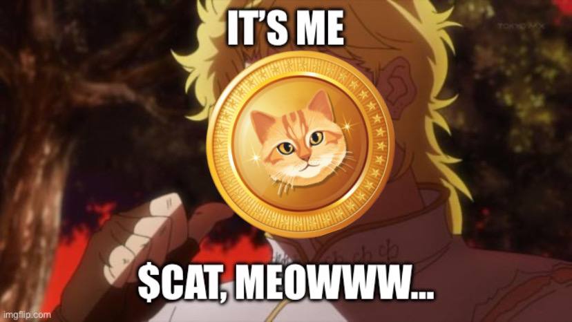 NciderW63718's tweet photo. @Noahhcalls You're looking at it! #CATTOKEN ($CAT) has a fantastic community and a lot of potential. It deserves all the hype! 🔥 #CATMEME #wukong @Cattoken_Solana https://t.co/i5l6OWh5D3