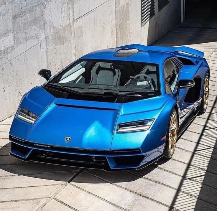 Zwischendurch auch mal was Schönes 🥰