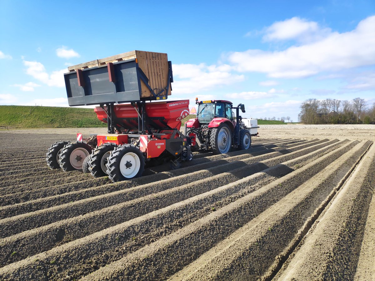 Planting of Memphis is underway in Zoutkamp, a small village in the north of the Netherlands. Now it is time to grow! 🌱

#keepsyougrowing #potatoes