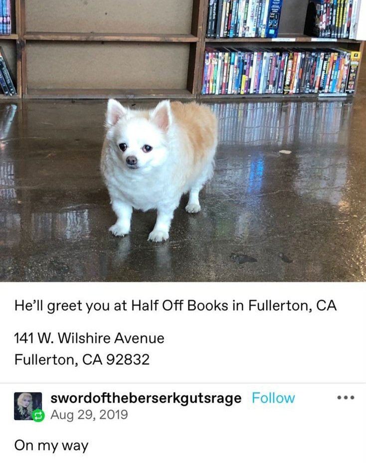 caninepoetry (@caninepoetry_) on Twitter photo 