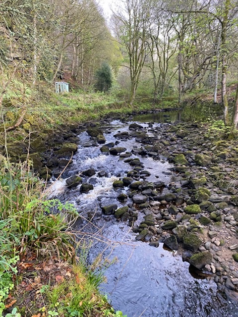EileenKelly33's tweet photo. This morning's walk before work - Hebden Water ❤️
🚶♀️👟🥾🌿
#walking #health #wellbeing #walkbeforework #nature #water #HebdenBridge https://t.co/IswQOrgzfy