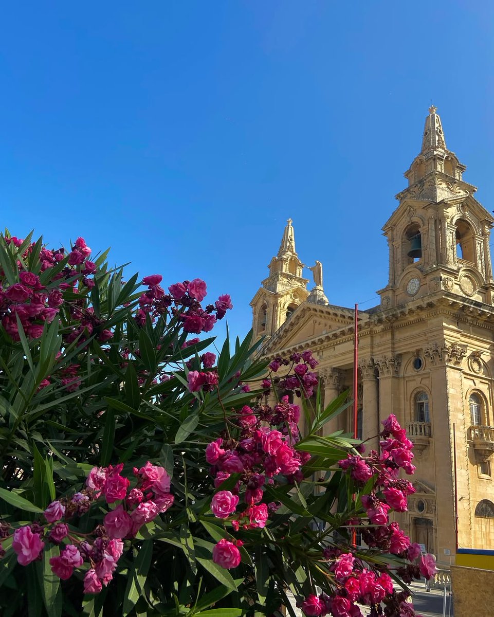 Stunning morning in #Malta🌸⛪  [📸 bit.ly/4chALTC] #VisitMalta #ExploreMore #Floriana