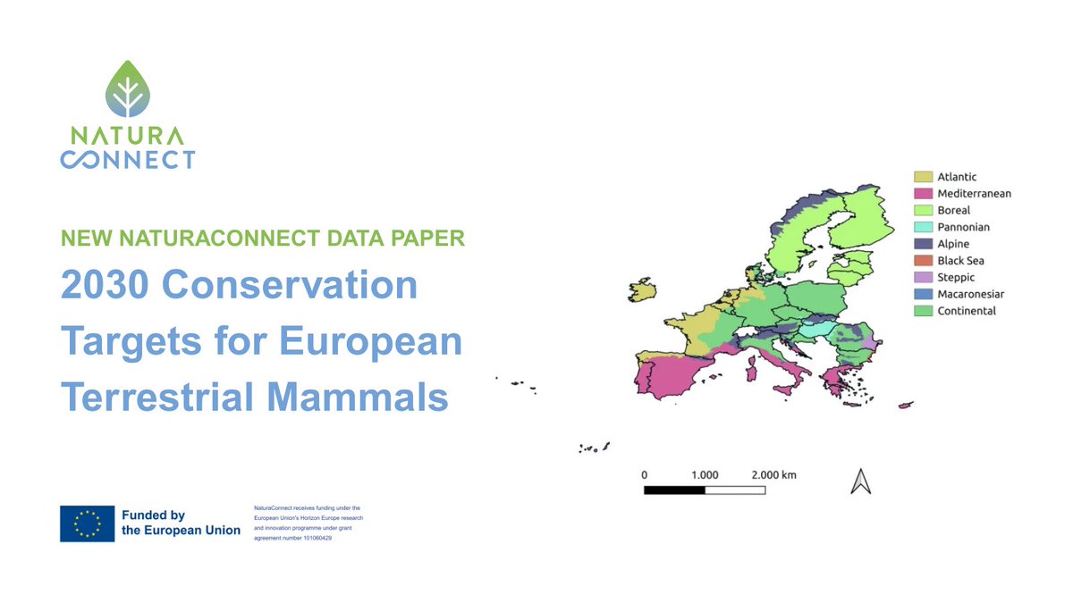 NaturaConnect's tweet image. 📊 New #NaturaConnect dataset defines 2030 conservation targets for Europe’s terrestrial mammals &amp; supports policy and planning under the EU Biodiversity Strategy. Full paper: buff.ly/TVOoGCd #Conservation #EU2030 #HorizonEU
