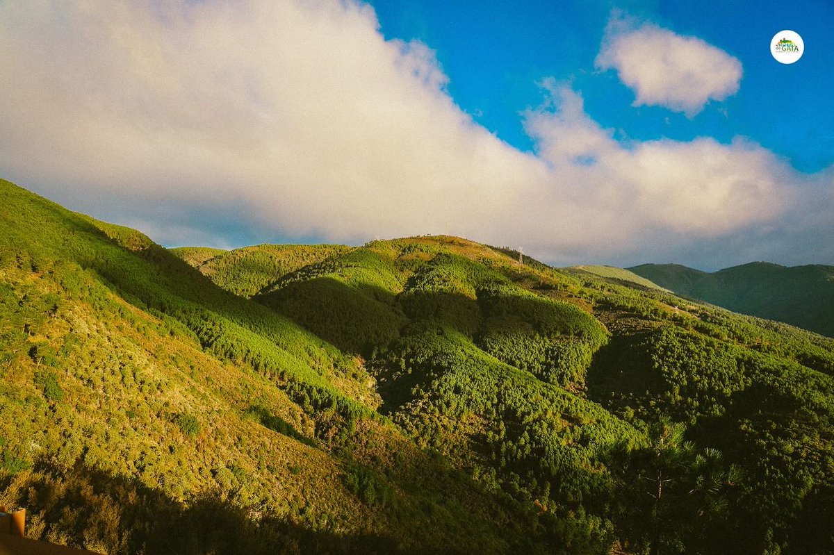 📷 Sierra de Gata en estado puro
Déjate llevar por la fuerza serena de la naturaleza.
Montañas que abrazan el cielo, bosques que susurran historias antiguas y ríos que fluyen libres.

<a href="/Turismo_DipCC/">Turismo Provincia Cáceres</a>  
#SierraDeGata #NaturalezaSalvaje #PaisajesExtremadura #TurismoRural