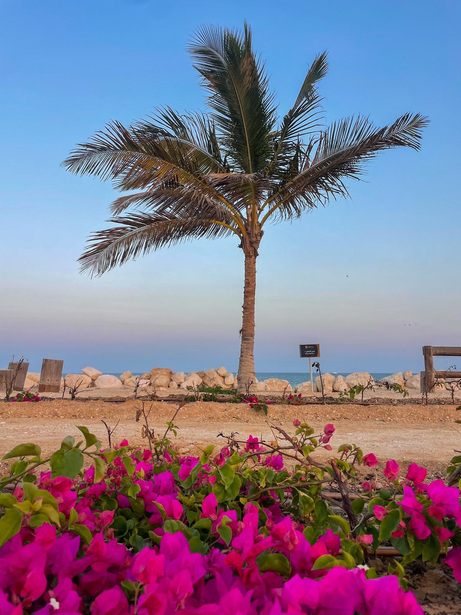 "إنما خلق اللهُ الخلافات لتعرفوا بها قدركم عند الناس."