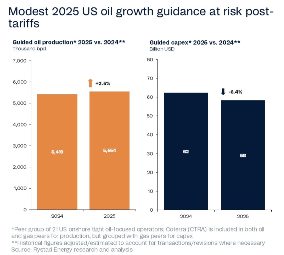 US oil operators face both significant subsurface and above ground risks as  they plan their capital investment programs. While most oil plays are  seeing deteriorating normalized productivity, US producers must also compete