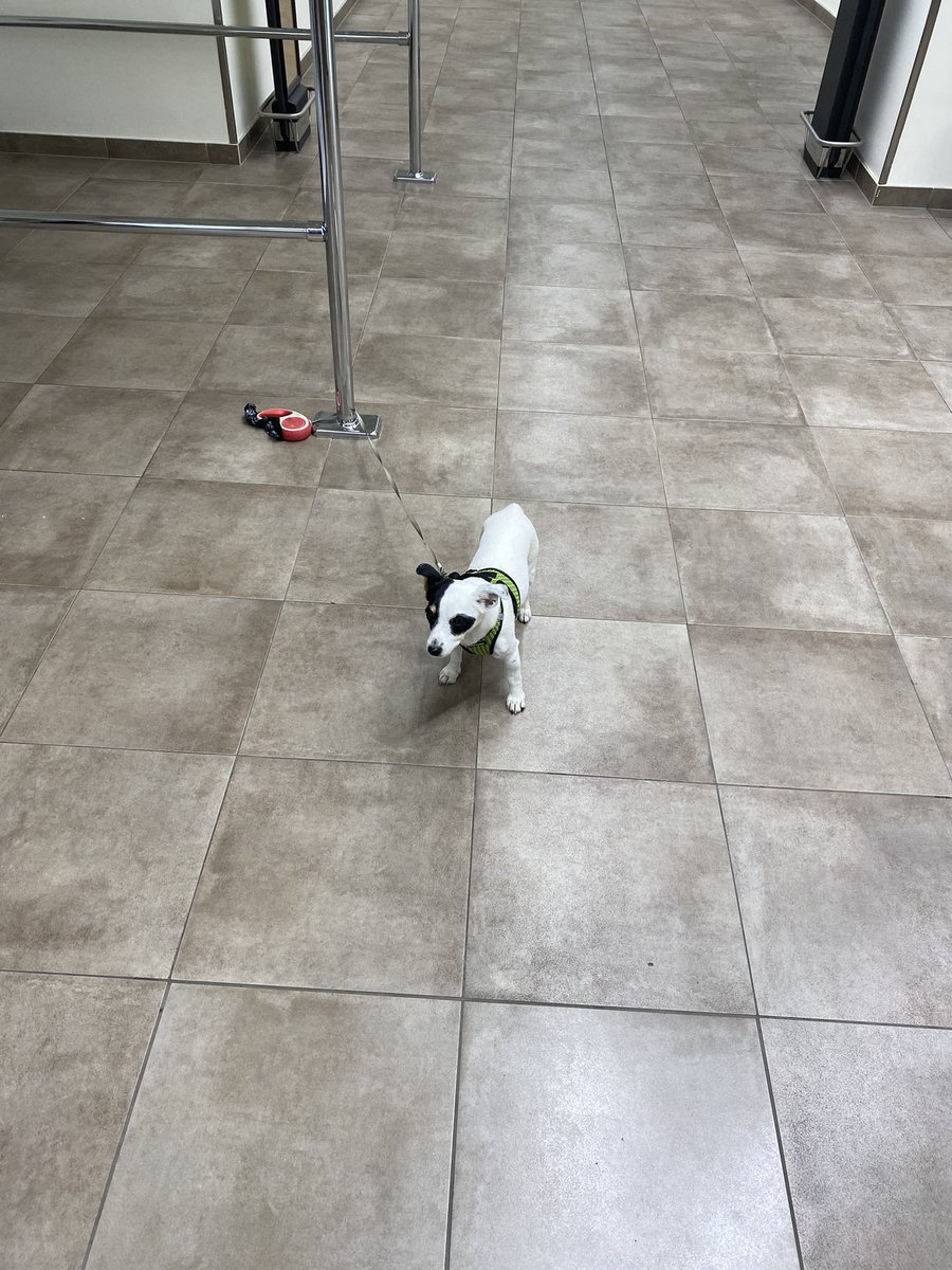 chimken6666's tweet photo. smol https://t.co/pTgxEkPnHK