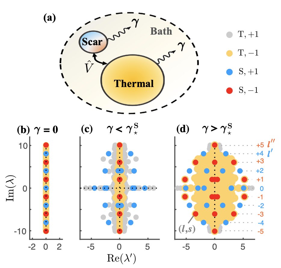 Quantum Many-Body Physics @ Leeds (@theoryleeds) on Twitter photo In our new preprint, we show that noisy quantum many-body scars can display a PT-symmetry breaking transition, explaining their unexpected robustness to dephasing. arxiv.org/abs/2504.12291 <a href="/LeverhulmeTrust/">The Leverhulme Trust</a> In our new preprint, we show that noisy quantum many-body scars can display a PT-symmetry breaking transition, explaining their unexpected robustness to dephasing. arxiv.org/abs/2504.12291 <a href="/LeverhulmeTrust/">The Leverhulme Trust</a>
