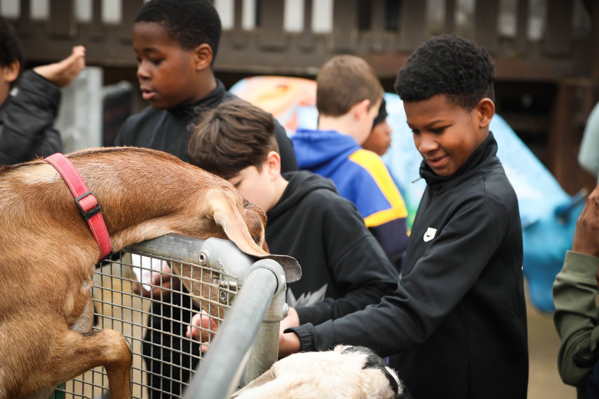 As always we had a wonderful day on our recent visit to <a href="/surreydocksfarm/">Surrey Docks Farm</a> #HAF2025 #youthwork pics by <a href="/Quincunxxx/">Andrew</a>