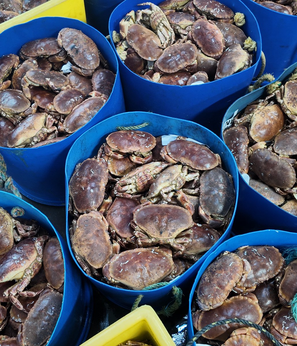 Last chance to get yourself 10% off your orders on our online shop - be sure to use the code EASTER10 at the checkout 🦞🙌