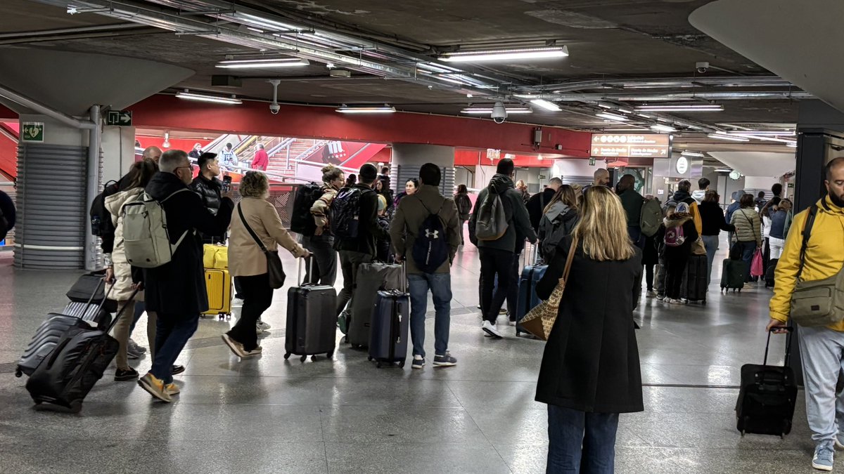 Macjosan tweet media