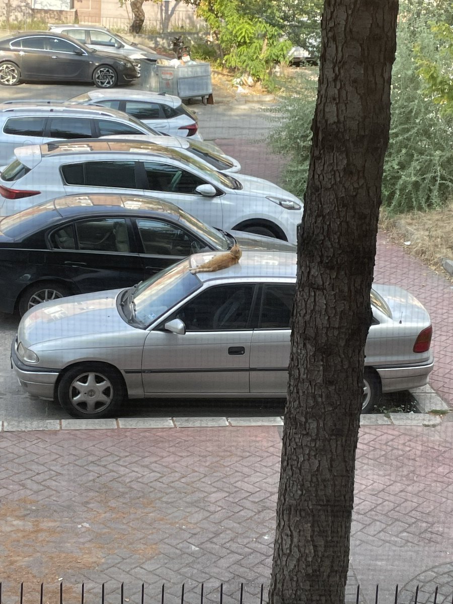 HalitMancar's tweet photo. @sayinseyirciii @xlssoo @yirmiucderece benim araç bu 97 model, 5 yıldır mühendislik yapıyorum ODTÜ mezunuyum. İstersen özelden sana maaş bordromu atayım. Uyanır uyanmaz uyuşturucuya mı sarıyorsunuz bunlar nasıl kafalar? https://t.co/eCHLWnkp5b
