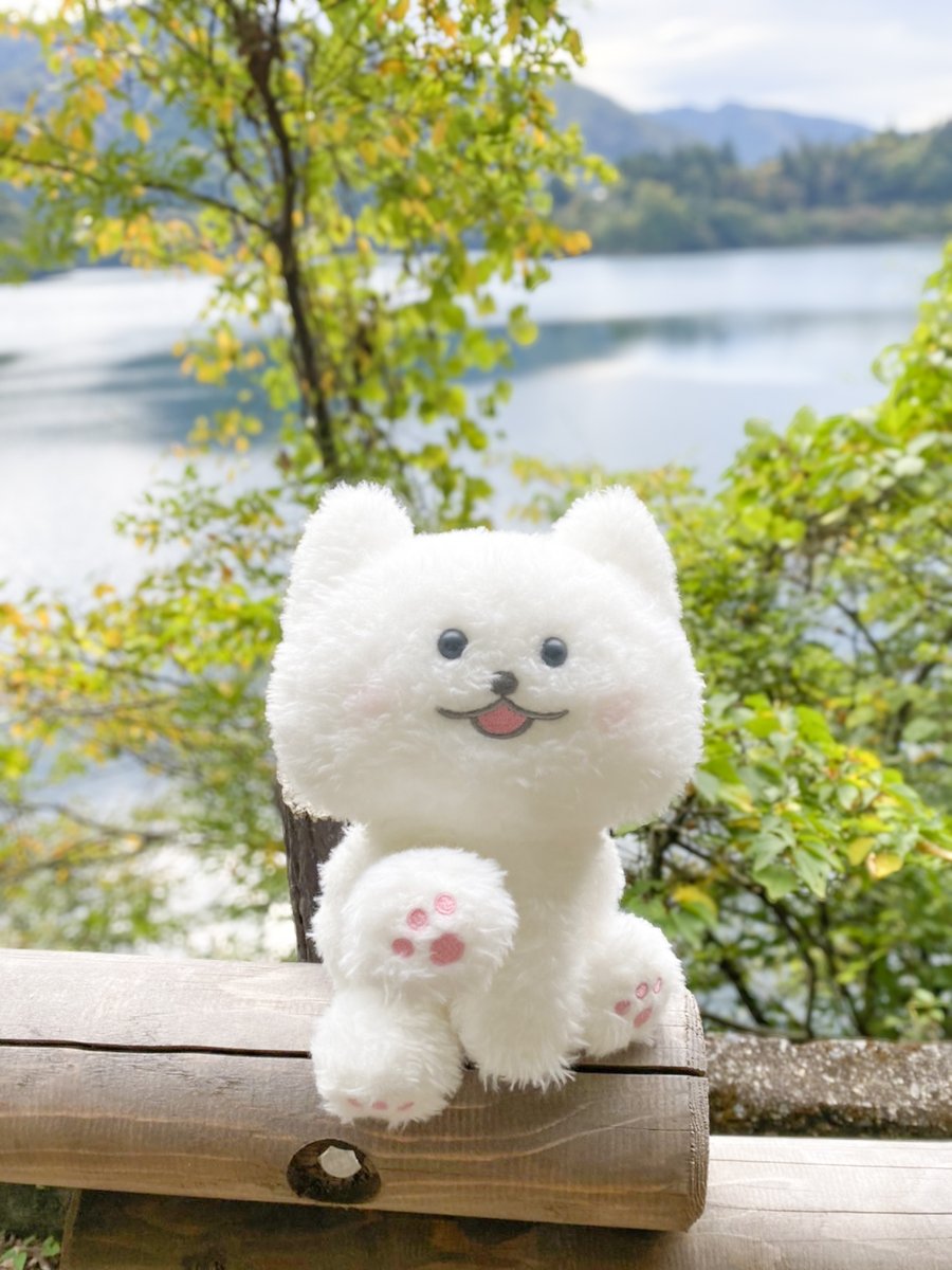 おおきな みずうみに 遊びにきたよ💧
おさかなさんと お友達に なれるかな？