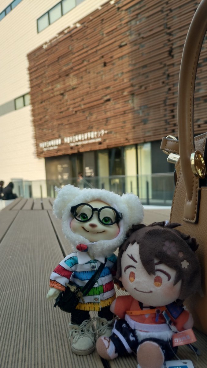 来たよ
