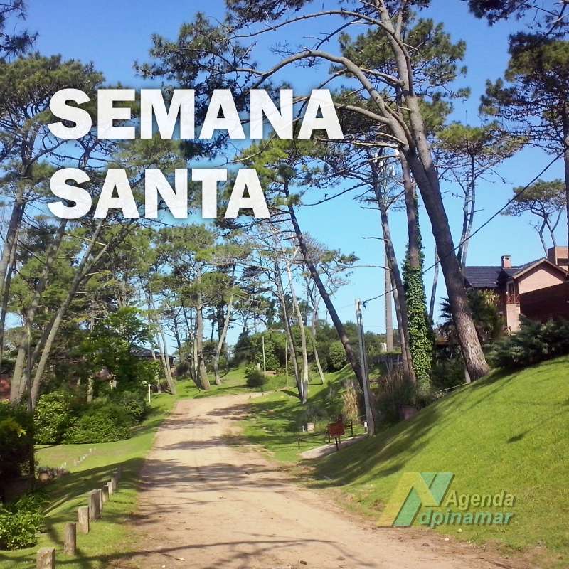 dpinamar's tweet photo. 📷 Semana Santa 2025 en Pinamar, Ostende, Valeria y Cariló
Actividades al aire libre y mucho más del 17 al 20 de abril.
📷Recorridos guiados
📷 Teatro de la Torre
📷 Ferias y arte en vivo
📷 Música 📷 Cine Oasis
📷 Deportes y actividades 
https://t.co/T4qpDlJaKQ https://t.co/QBfoJZ4yXF