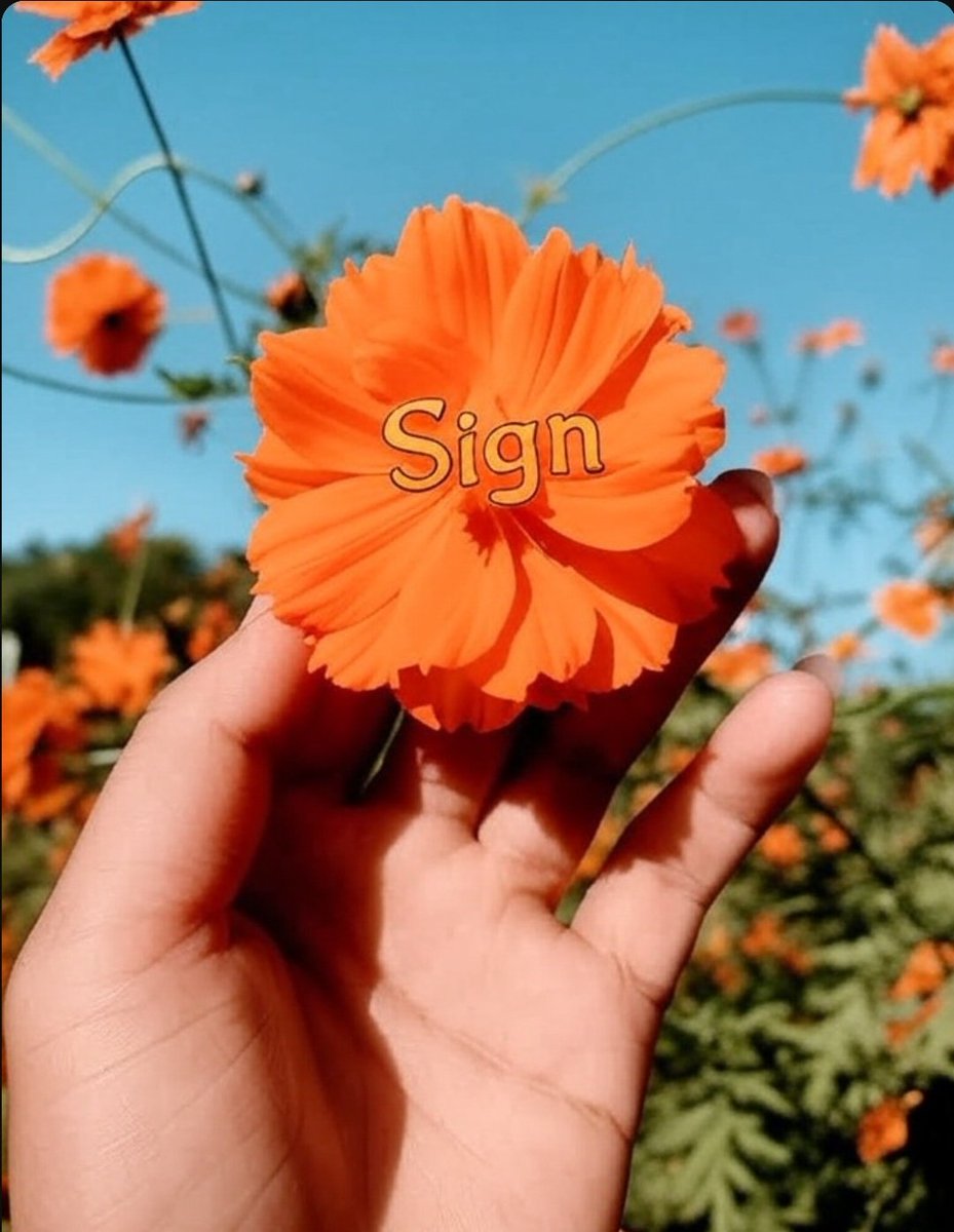 vickydiamond21's tweet image. SiGM to my fellow #SignVanguard
SiGM to those who are led by the Sign Everyday.
#OrangeDynasty #SignProtocol