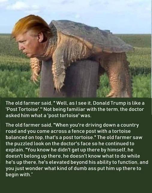 dave43law's tweet photo. 🤣🤣🤣 https://t.co/cy9qSD4yge