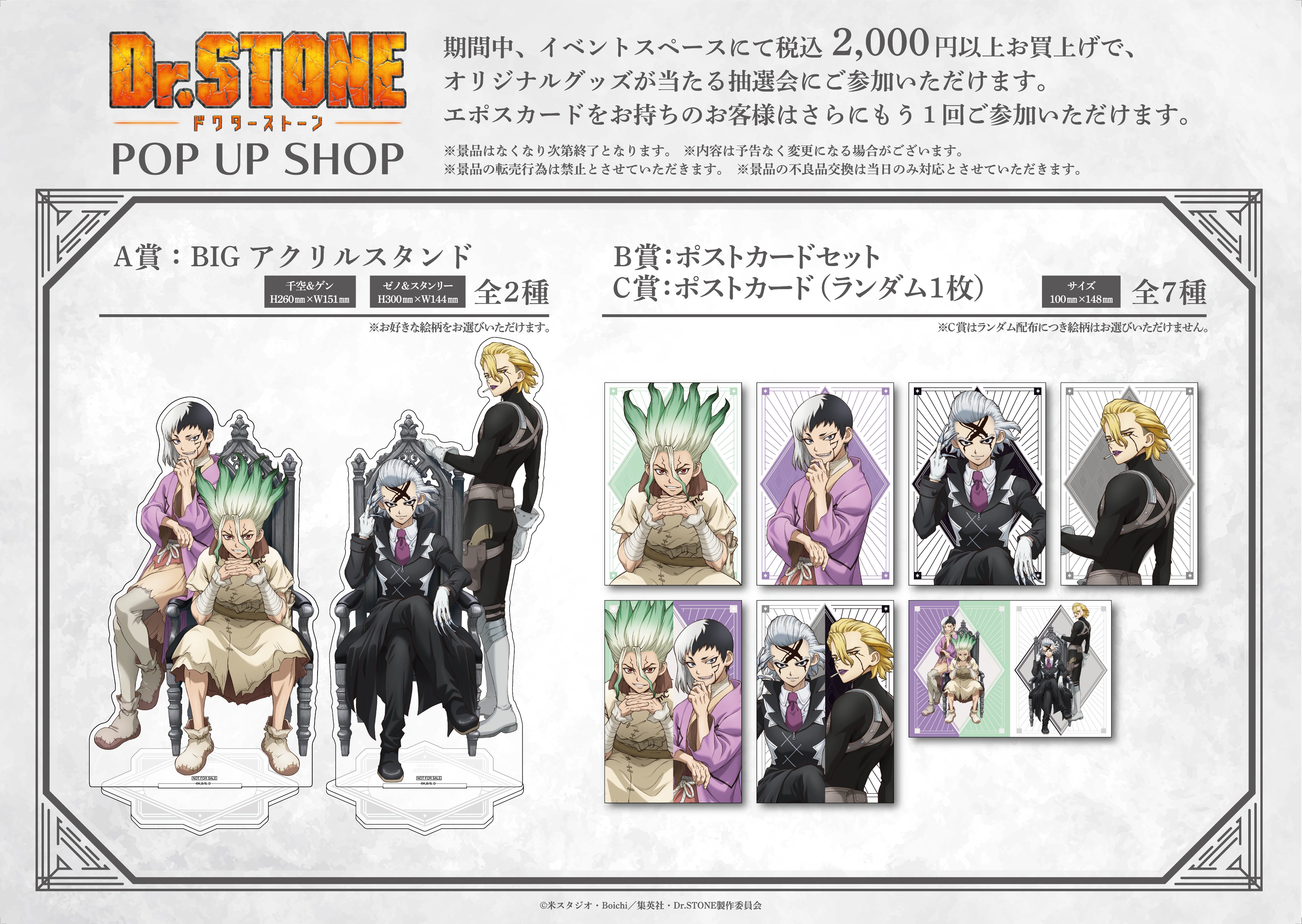 Amazon.com: Dr.STONE 13 (ジャンプコミックス) : Todo lo demás