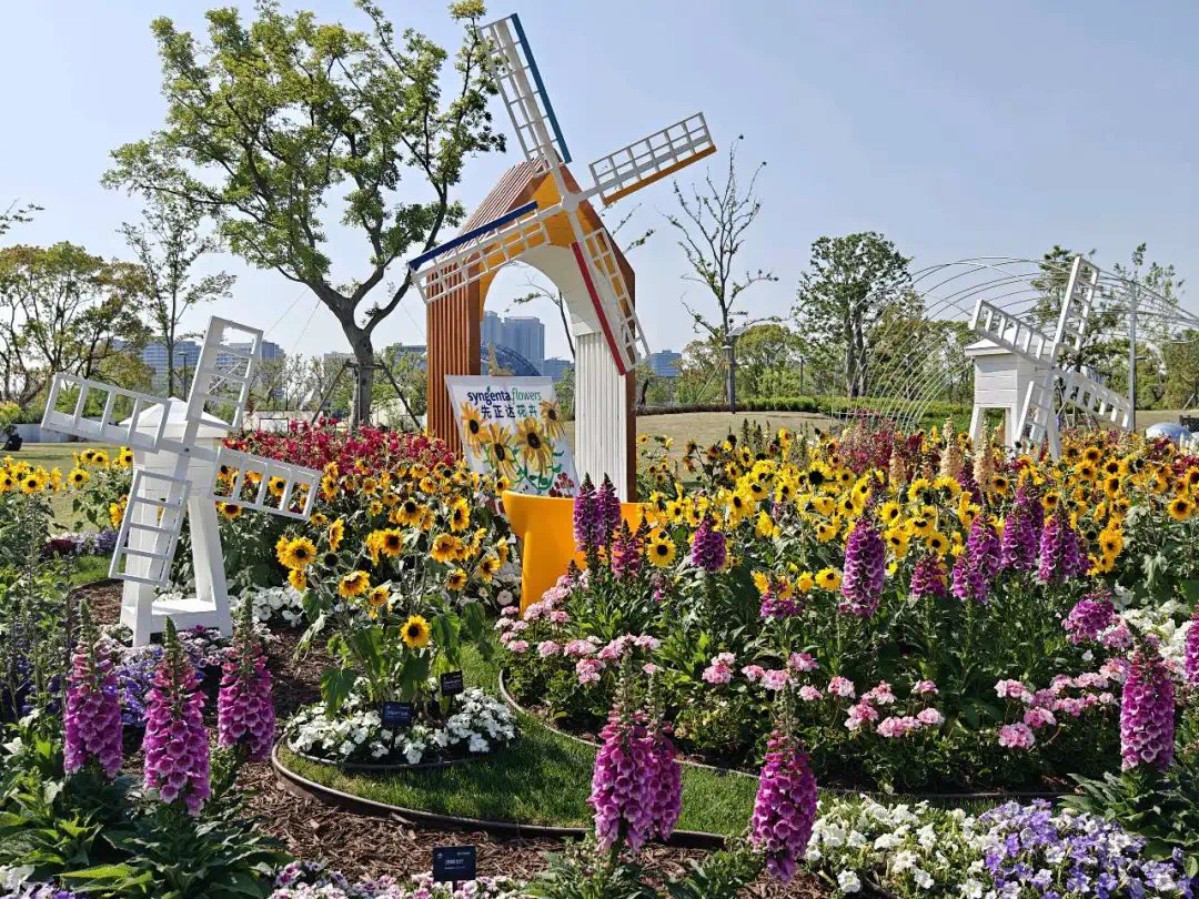 💫The 2025 #Shanghai International Flower Show will bloom on April 18, featuring 5⃣ venues spanning Xuhui district, #Pudong New Area, <a href="/NiceFengxian/">Nice Fengxian</a>, <a href="/SHLingang/">Shanghai Lin-gang Special Area</a>, and Shanghai Binjiang Forest Park. Take a sneak peek at the highlights!🌺🌷🌼🪻 #InShanghai #ShanghaiTrip #SpringBreak