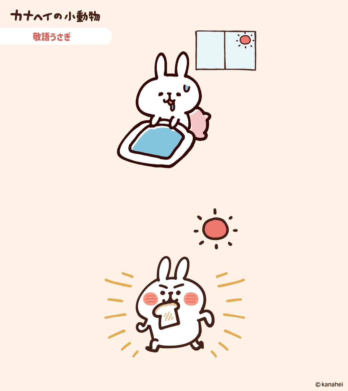カナヘイの小動物 (@kanahei_animals) / X