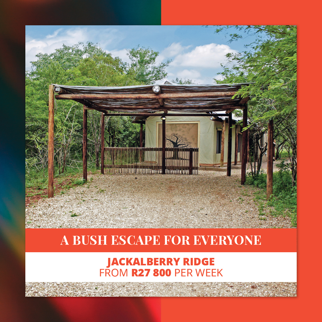 From camping and game drives to mountain biking and everything in between, Jackalberry holidays are always exciting! 🤩

Want annual holidays? Enquire about shared ownership at: bit.ly/4jHbCV3

#DreamResorts #JackalberryRidge #HolidayInvestments