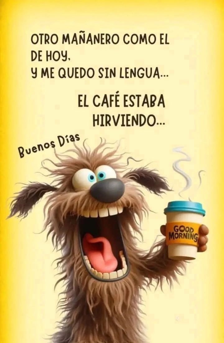 roza_negra99's tweet photo. Excelente jueves https://t.co/88mYXqN9yM