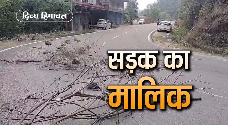 DivyaHimachal's tweet image. यह जमीन मेरी है…13 बिस्वा है मिलकीयत, NH पर पत्थर-झाडिय़ां रख रजनीकांत ने मांगा हक
#mataur_shimlaNH #bilaspur #HPPWD #CMsukhu #DivyaHimachal
divyahimachal.com/2025/04/this-l…