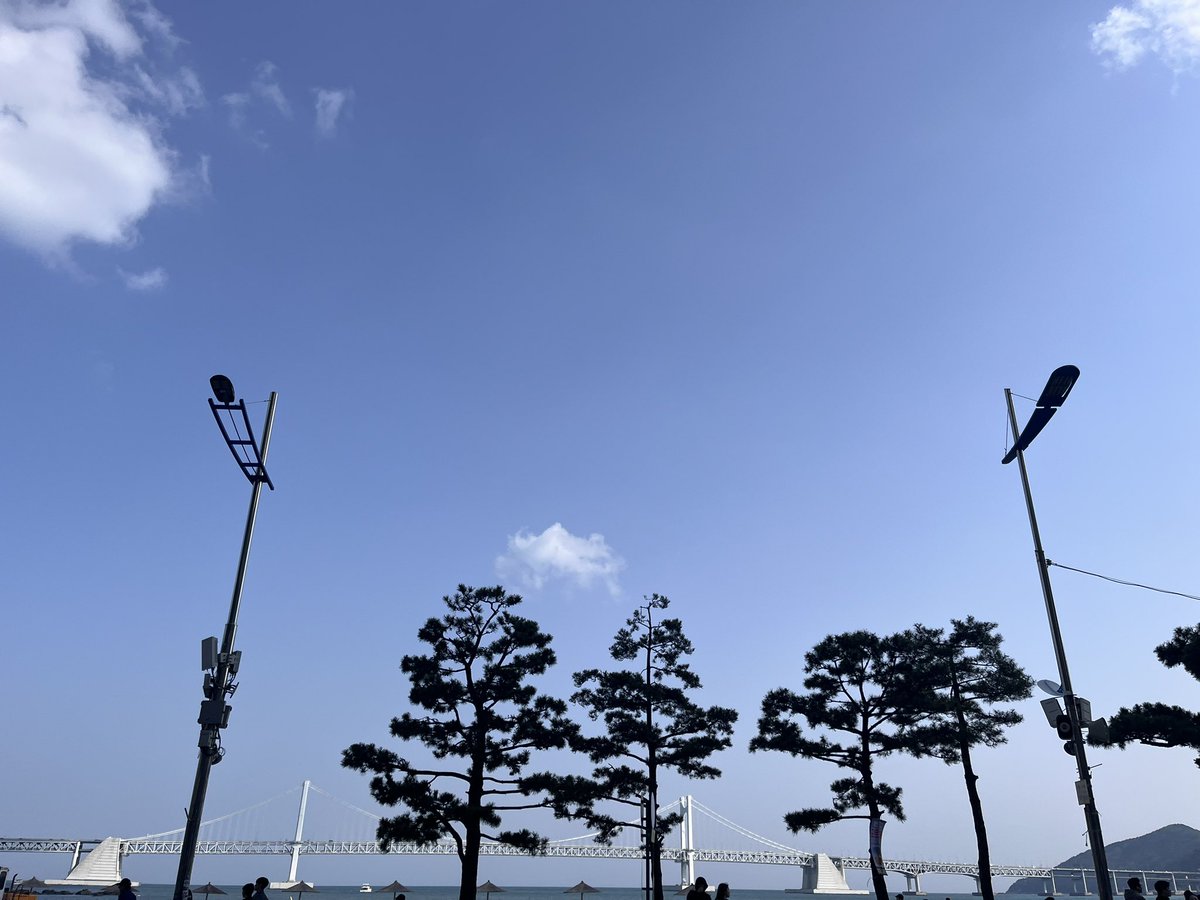 eiashinn's tweet photo. 只能說海+櫻花真的是絕美 https://t.co/0yY3M3Z40M