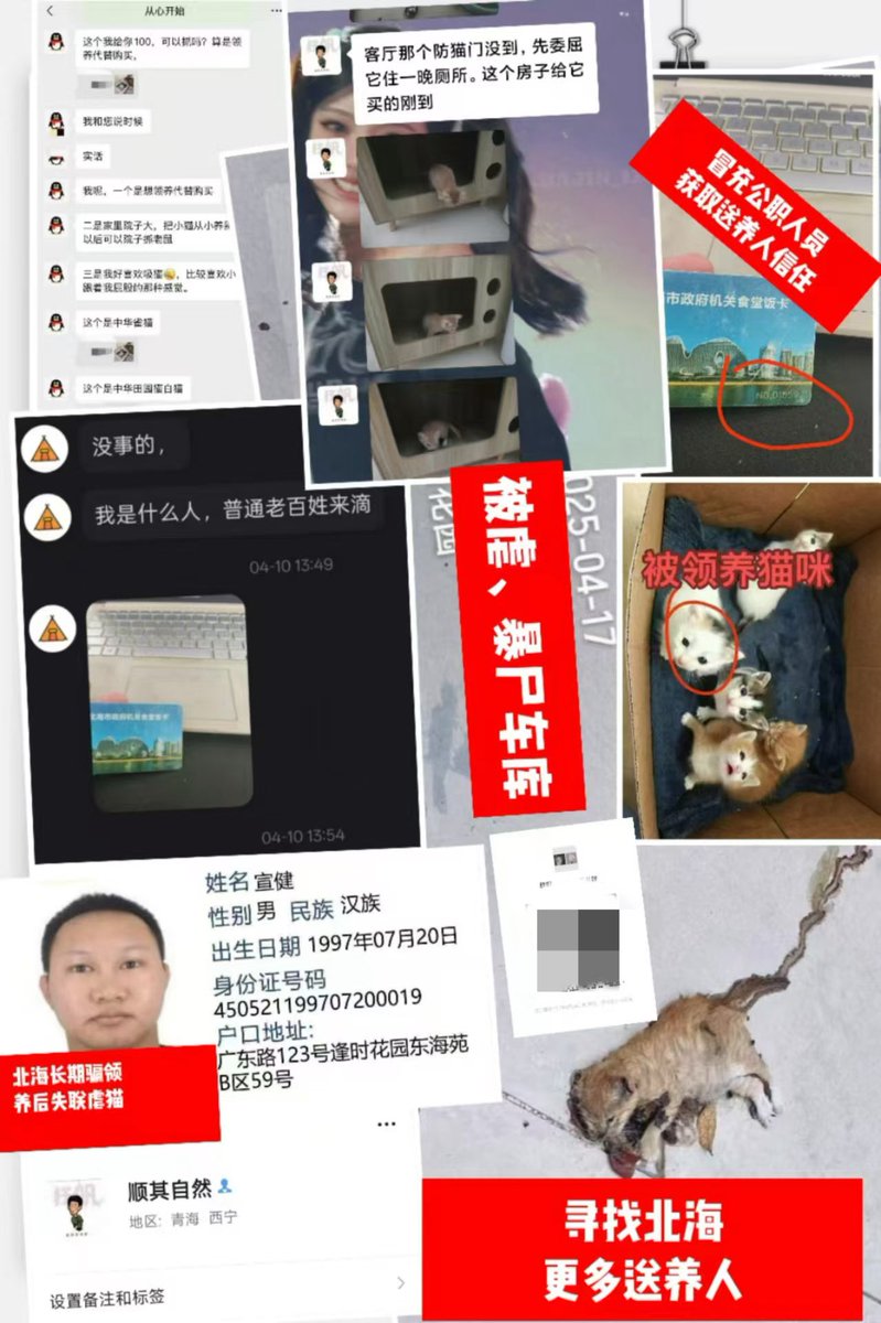 Chinese people abuse animals tweet media