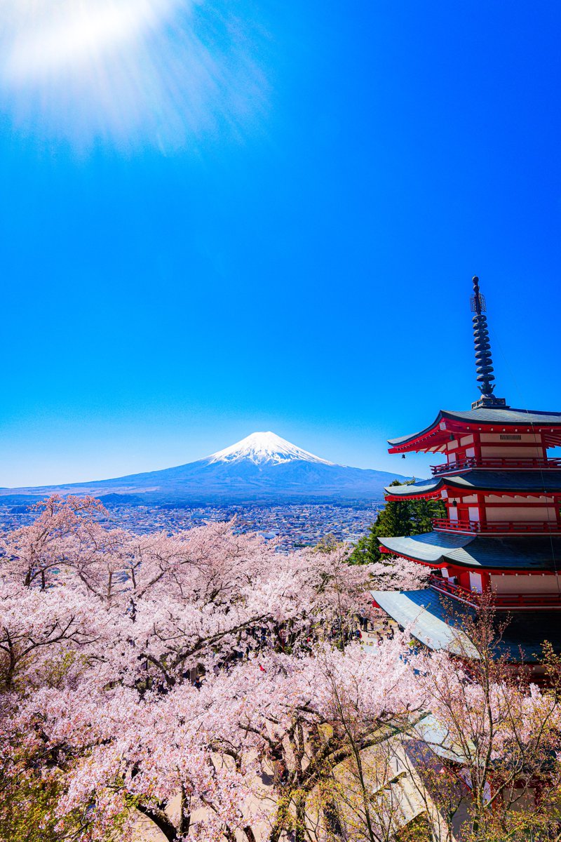 日本最高と思える景色でした