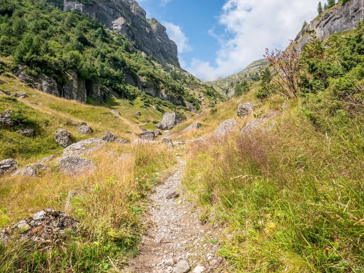 Travel_2Romania's tweet photo. Discover Valea Cerbului,a stunning valley in #România ’s #Bucegi #Mountains near Bușteni!Known as the Green Meadow at the foot of the peaks,this enchanting valley stretches along a 7km tributary of the Prahova River,flowing from Vârful Omu (2507m).A Haven for nature🌿❤️it offers https://t.co/sCInVldxFO