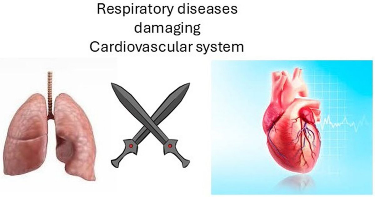 😮‍💨 ¿Sabías que las enfermedades respiratorias y las cardiovasculares (#ECV) tienen una alta prevalencia y comparten factores de riesgo?

🔎 Lo analizamos en la revisión exploratoria publicada en #OpenRespiratoryArchives

🔗 n9.cl/t2c45

#SEPAR