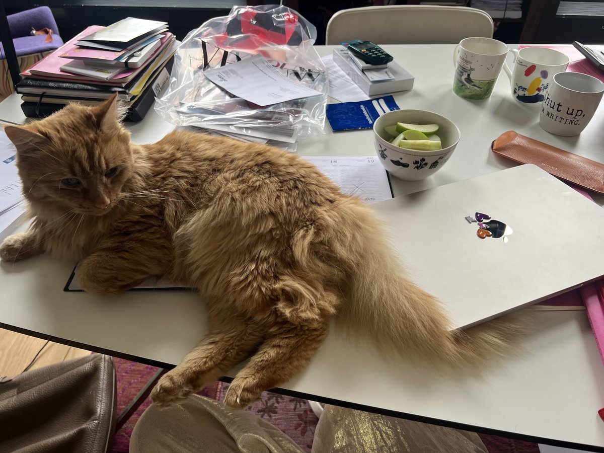 Ebru Umar tweet media