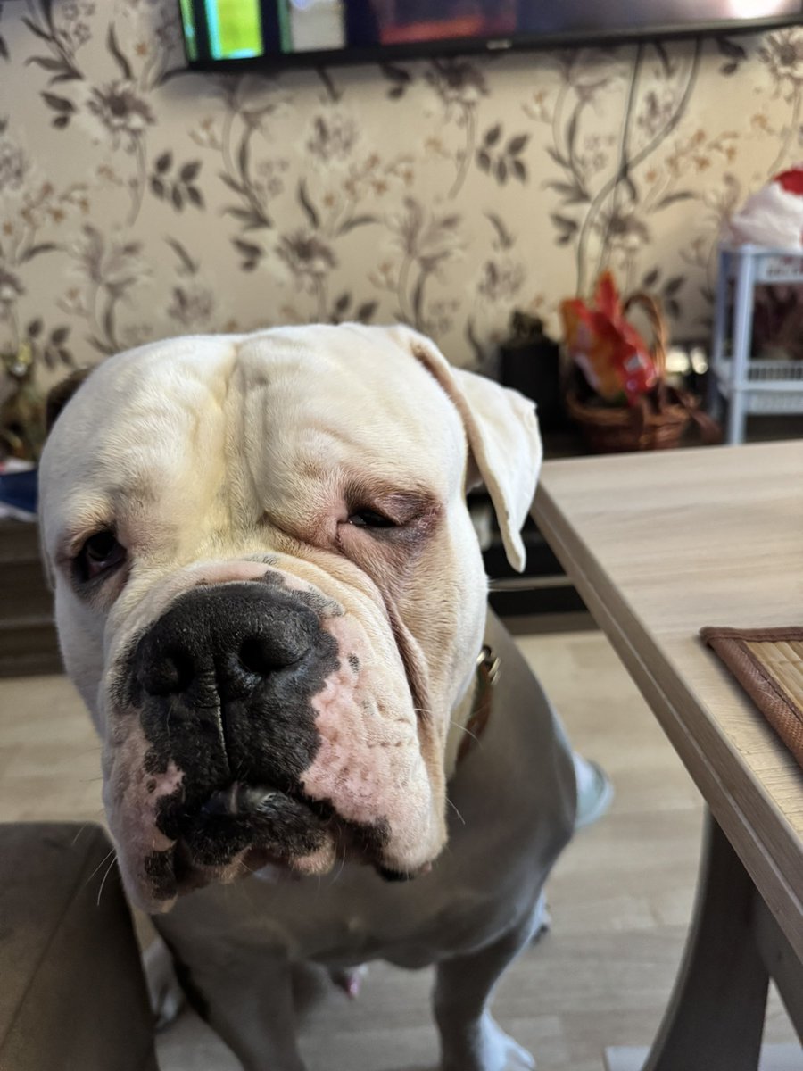 Сдаем анализы, готовимся к операции на глазу😢