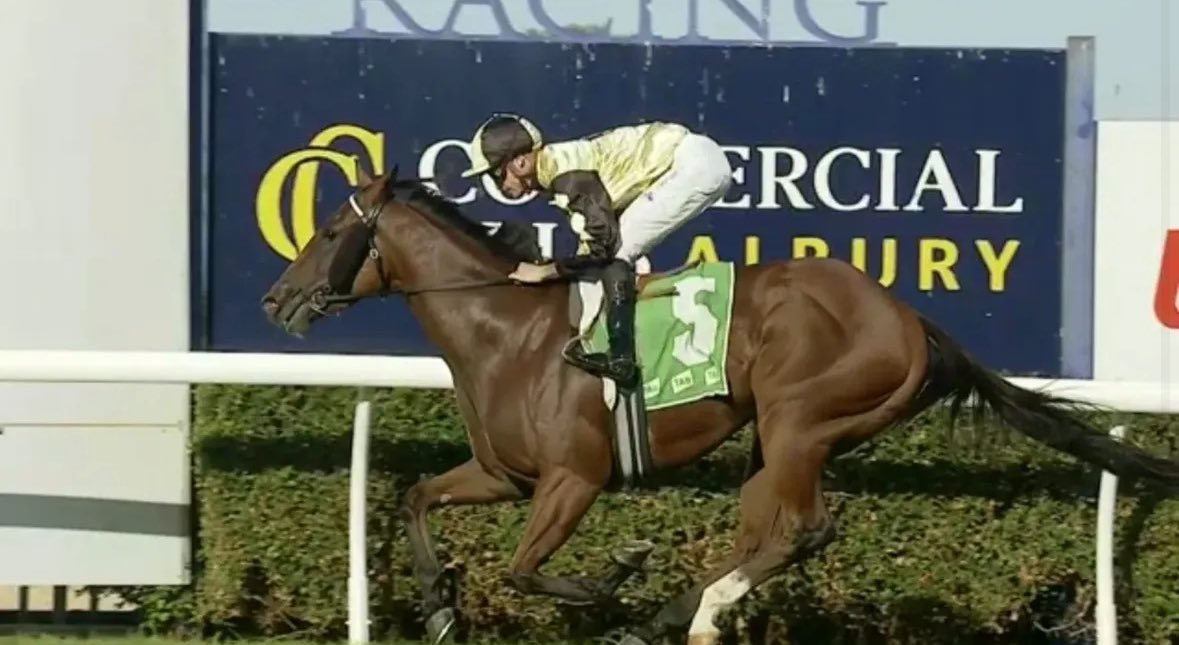 Super day out for all involved. Happy bunch owners with Villasaurus and One Hard Lady winning on #AlburyGoldCupDay. One Hard Lady 3 starts for 3 wins!!!