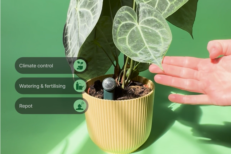 gizmocrowd_inc's tweet photo. 🌿 Plants can’t speak—until now.
👉 https://t.co/8nrkMpf8wo
Meet FYTA 2.0: the modular, AI-powered smart sensor system for every growing setup. Back now https://t.co/RiKtlTpkKx
#SmartGardening #PlantTech #Kickstarter #IoT #garden https://t.co/PdKxHRvX8s
